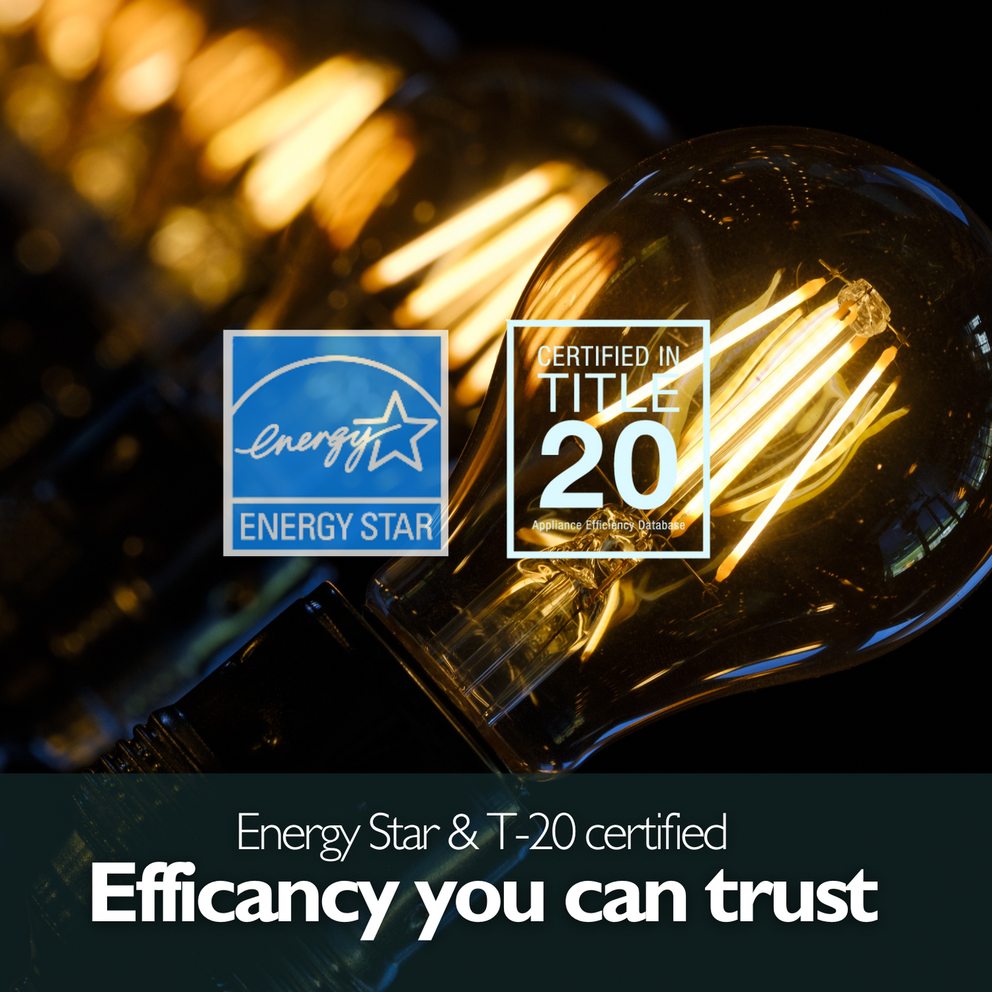 A19-E26 EcoBright™ Bulb-100W 2700K/5000K (4/8/12 Pack)
