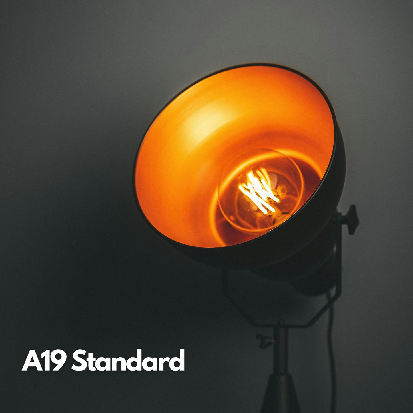 A19-E26 EcoBright™ Bulb-100W 2700K/5000K (4/8/12 Pack)