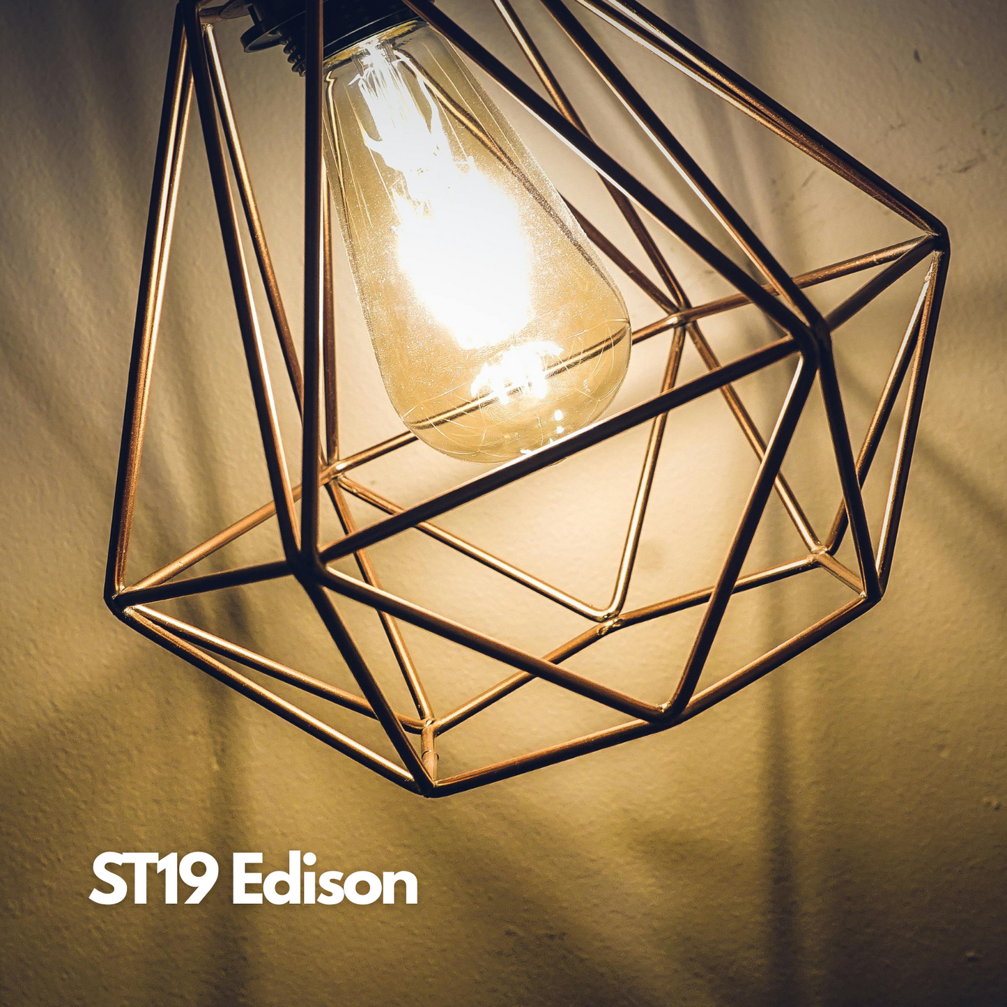 ST19-E26 TimlessGlow amber edison 60W 2500K(4/8/12 Pack)