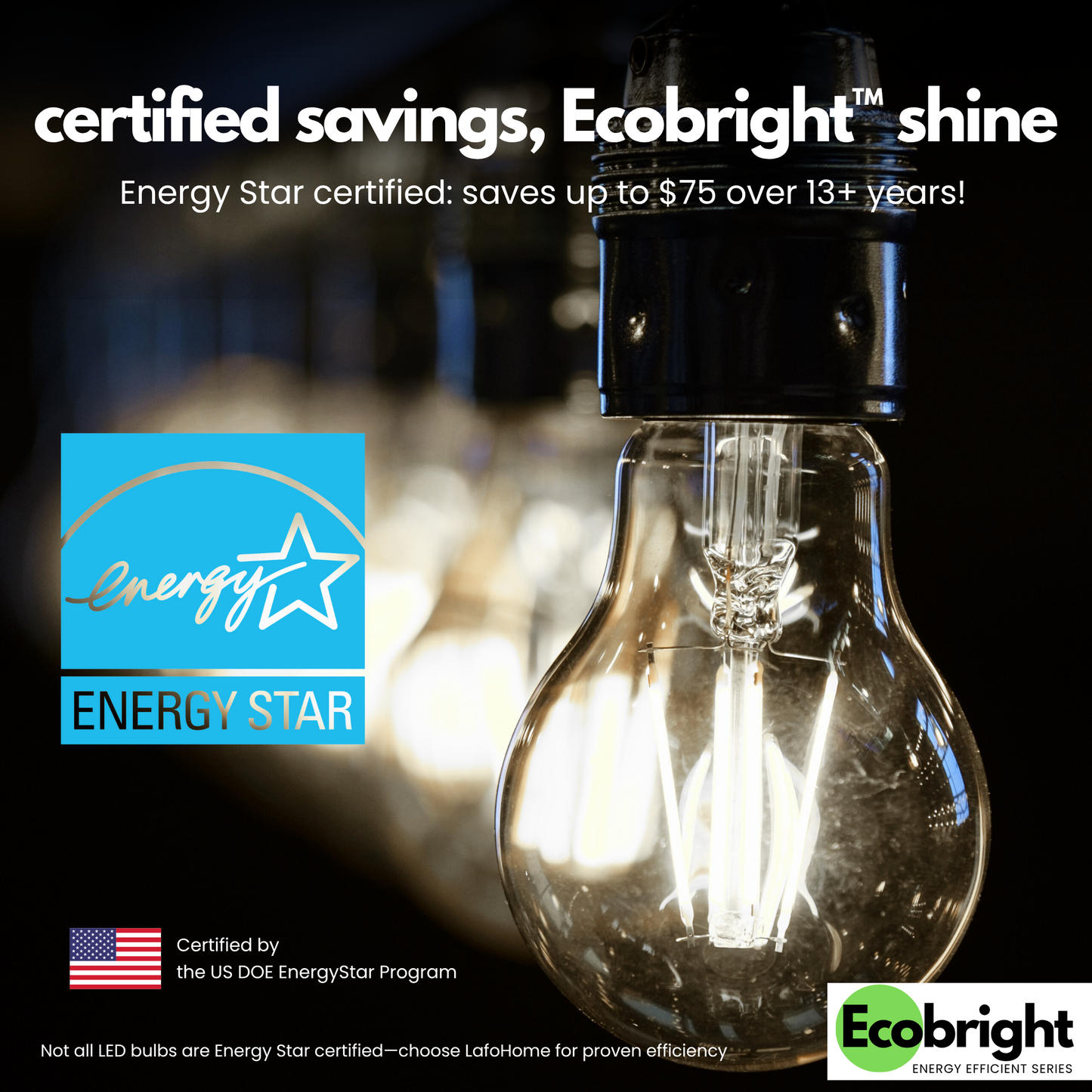 A19-E26 EcoBright bulb-40W 2700K/5000K (4/8/12 Pack)