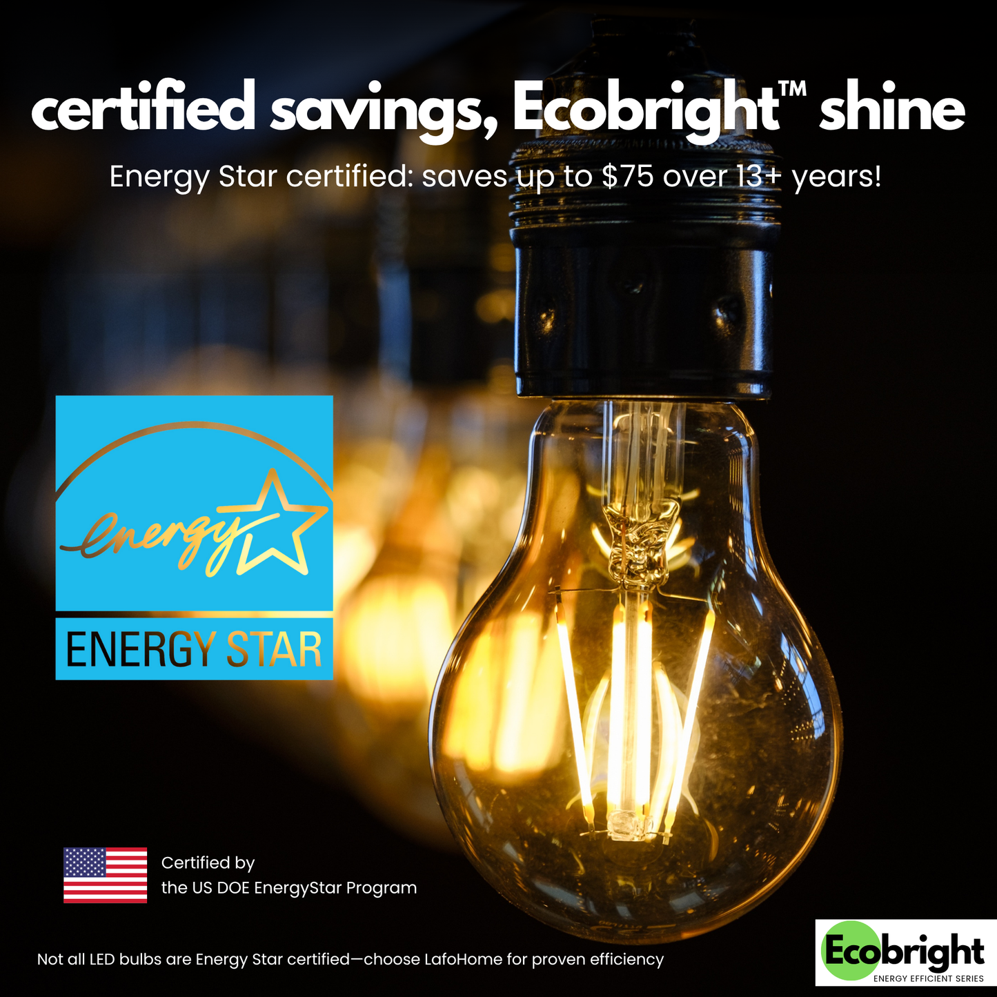 A19-E26 EcoBright bulb-40W 2700K/5000K (4/8/12 Pack)