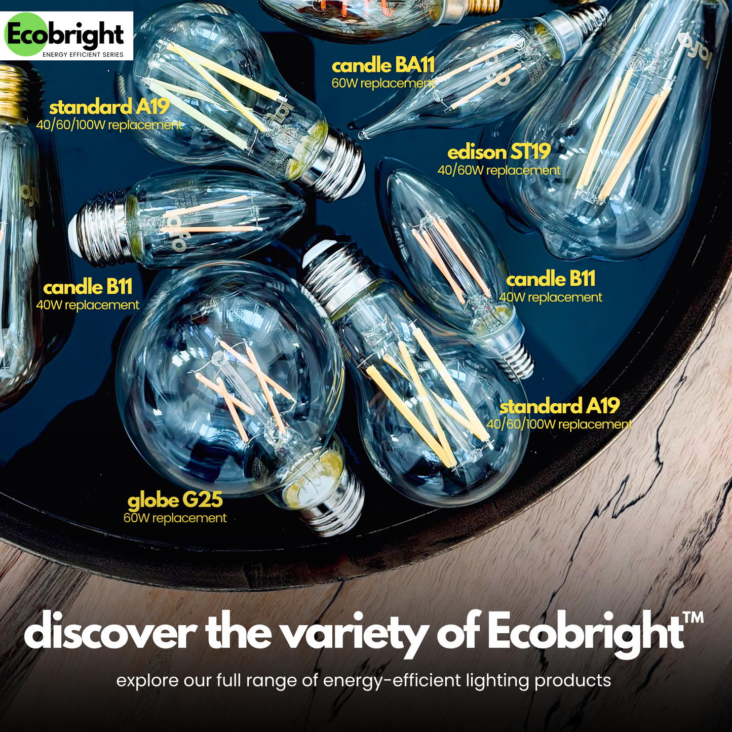 A19-E26 EcoBright™ Bulb-100W 2700K/5000K (4/8/12 Pack)