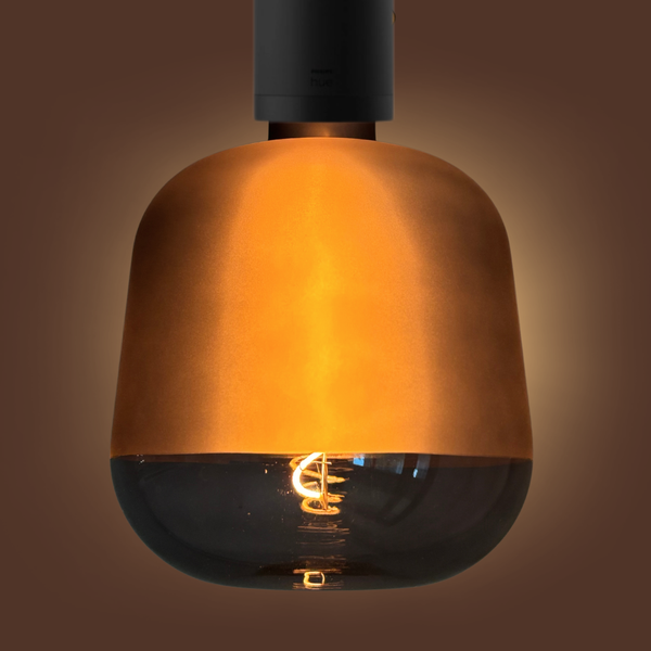 StyleLight™ Balloon Series — Artistic Globe LED Filament Bulb (Black)