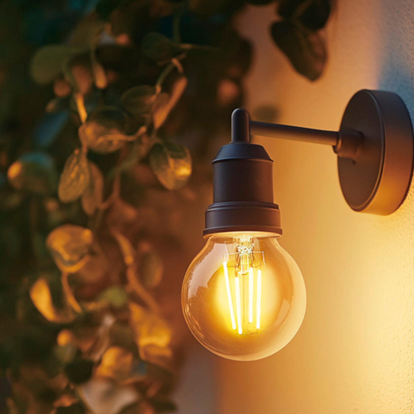 G25-E26 EcoBright™ Globe bulb - 40W 2700K (4/8/12 Pack)
