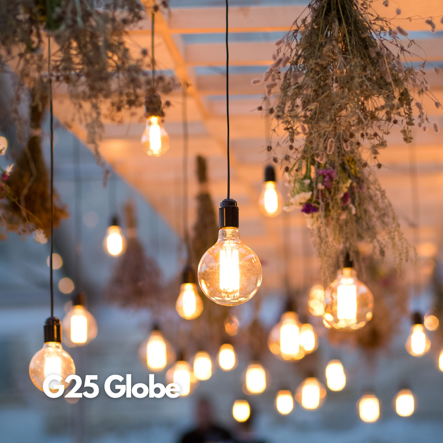 G25-E26 EcoBright™ Globe bulb - 40W 2700K (4/8/12 Pack)