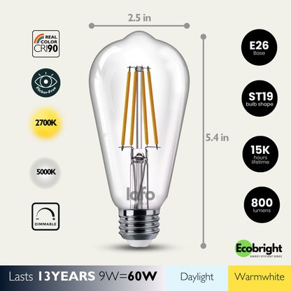ST19-E26 EcoBright™ Edison bulb -60W 2700K/5000K (4/8/12 Pack)